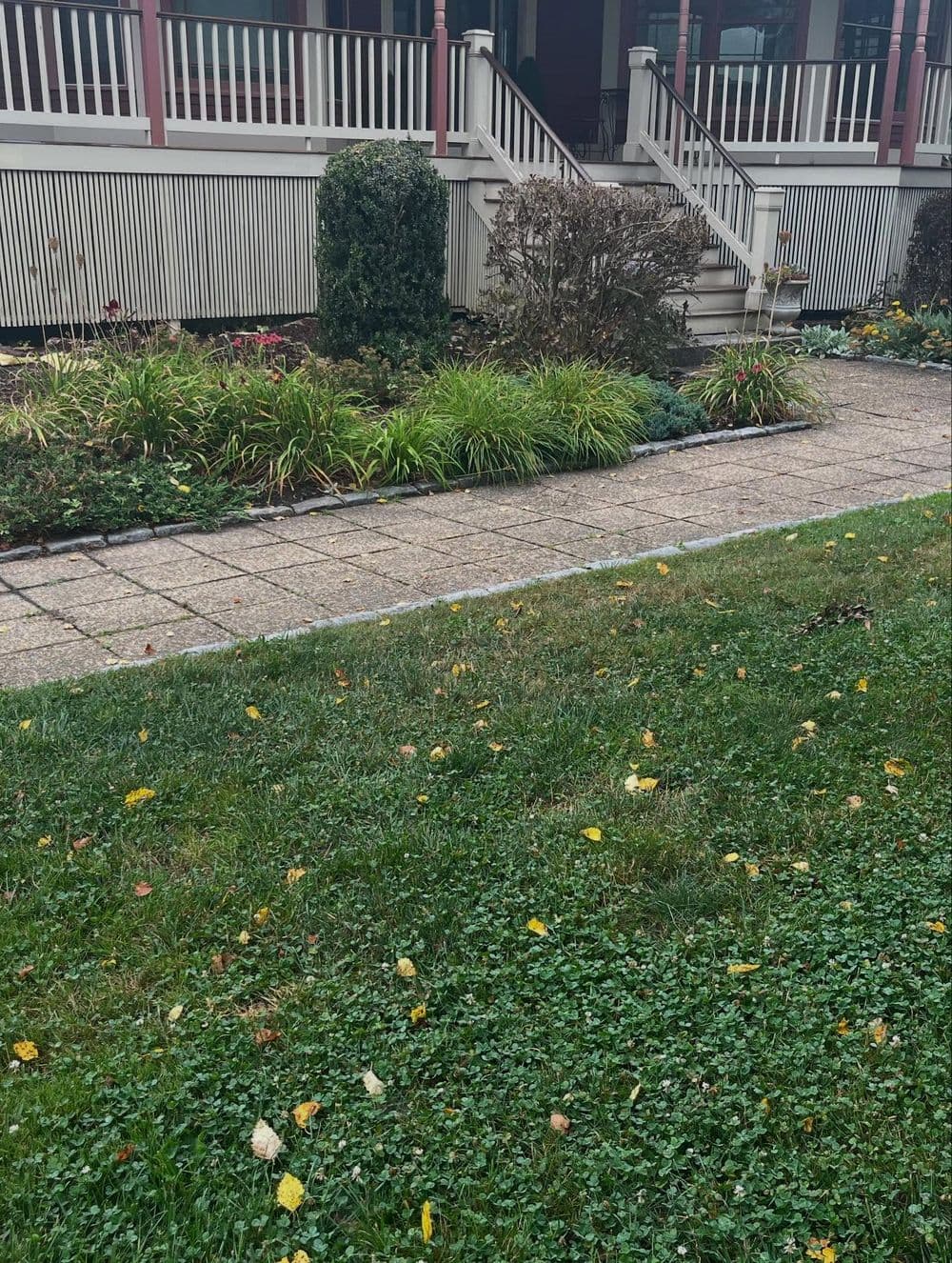 Stone pathway leading to a house with landscaped garden and autumn leaves on grass.