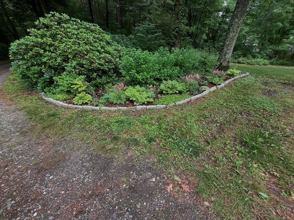 Lush garden border with plants and stones alongside a gravel pathway in a wooded area.